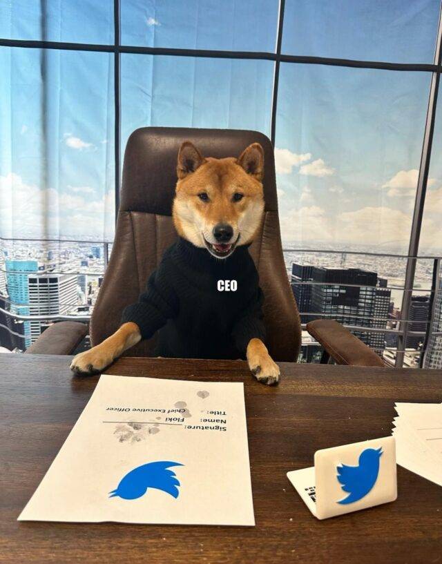  CEO