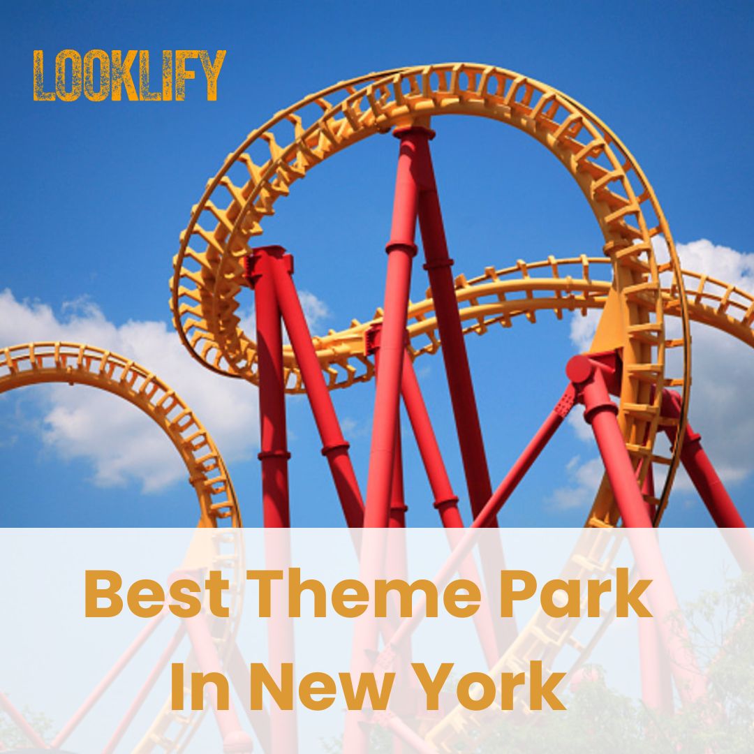 Best Theme Park In New York - Looklify