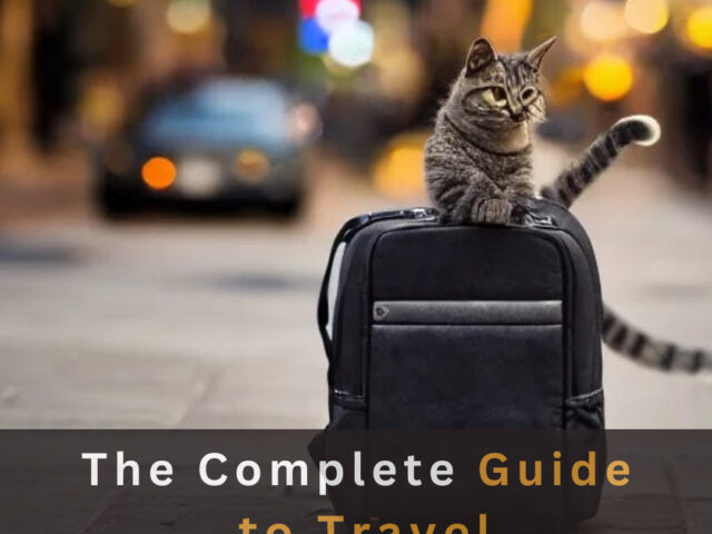 https://www.looklify.com/wp-content/uploads/2023/06/The-Complete-Guide-to-Travel-2-640x480.jpg