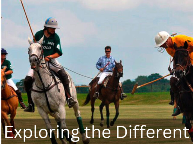 https://www.looklify.com/wp-content/uploads/2023/08/Exploring-the-Different-Types-of-Polo-Games-640x480.jpg