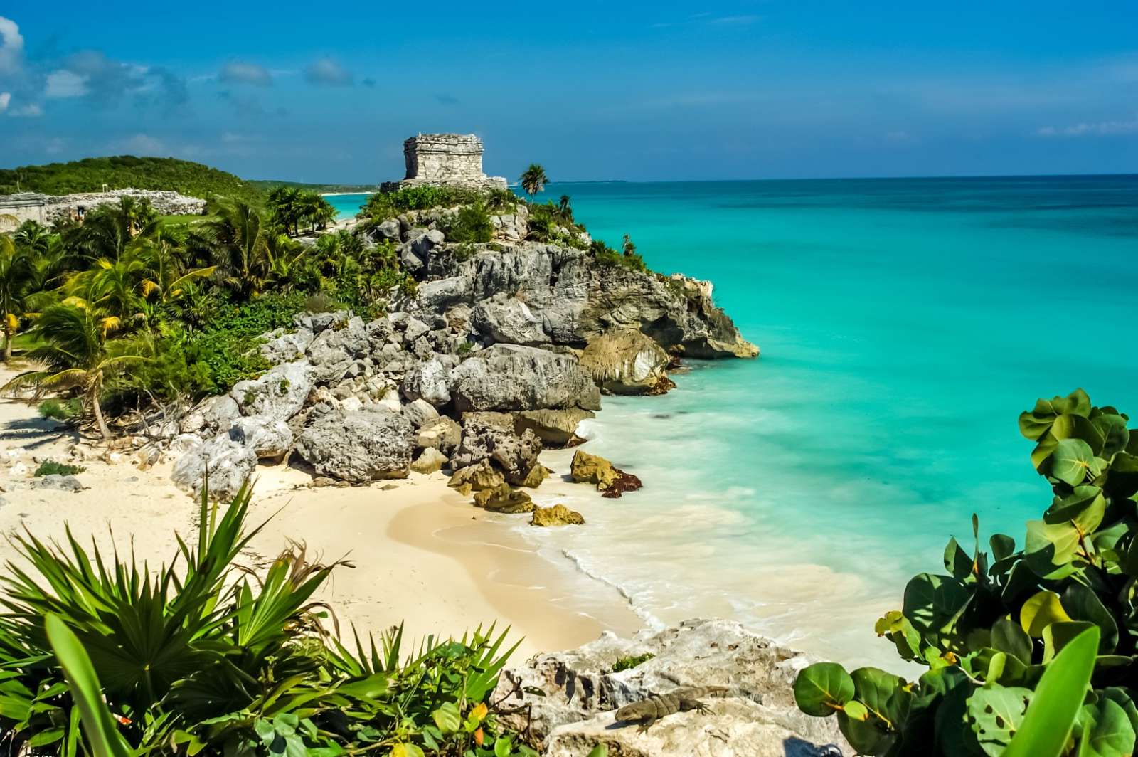 Unveiling the Allure of Tulum - Looklify