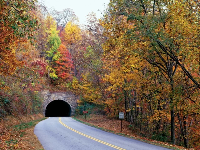 https://www.looklify.com/wp-content/uploads/2024/03/Grassy-Knob-Tunnel-portal-Blue-Ridge-Parkway-640x480.webp